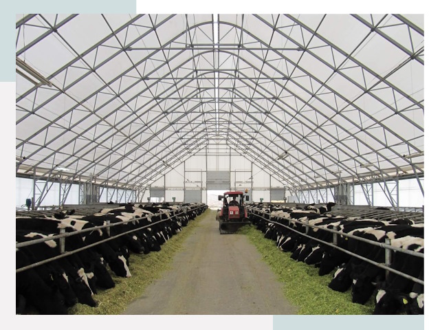 Тентовые коровники в Архангельске от 617 руб. - Надежно и доступно