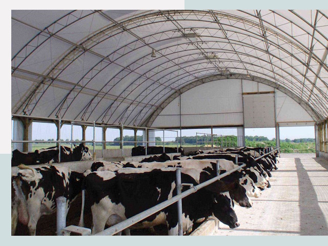 Тентовые коровники в Архангельске